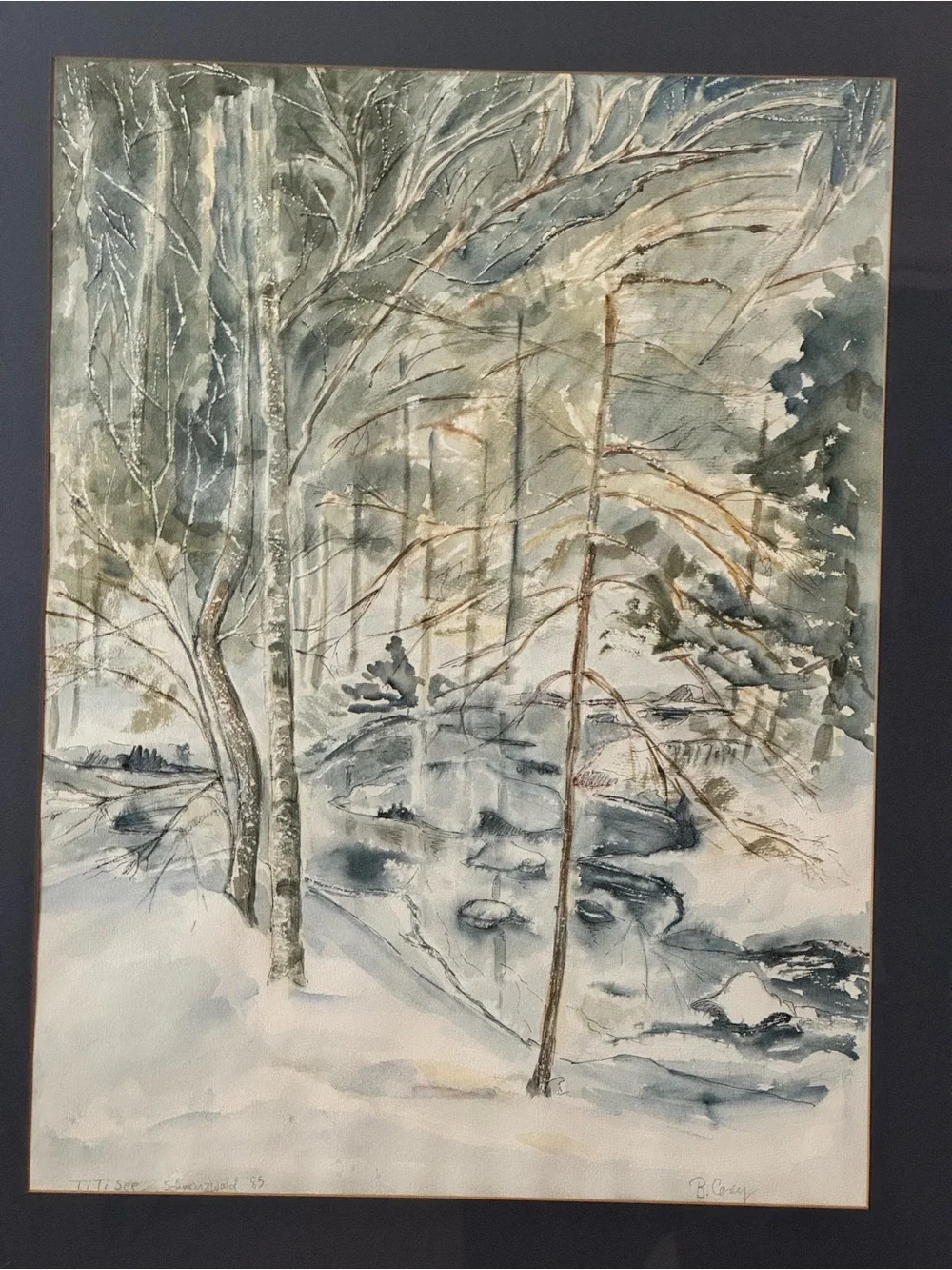 Vintage 1985 Original Watercolor B. Cady Black Forest Germany Framed Art